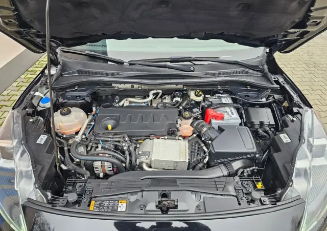 FORD Kuga 2.0 EcoBlue AWD ST-Line X