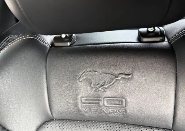 FORD Mustang 5.0 V8 GT