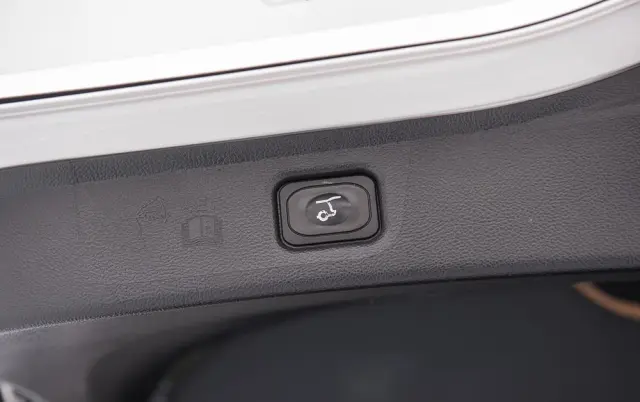 FORD S-Max 2.0 EcoBlue Allrad VIGNALE