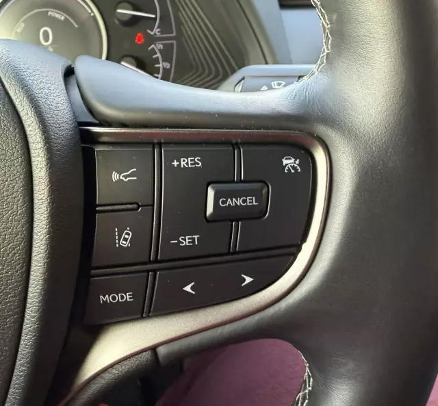 LEXUS UX 250h Elegance 2WD