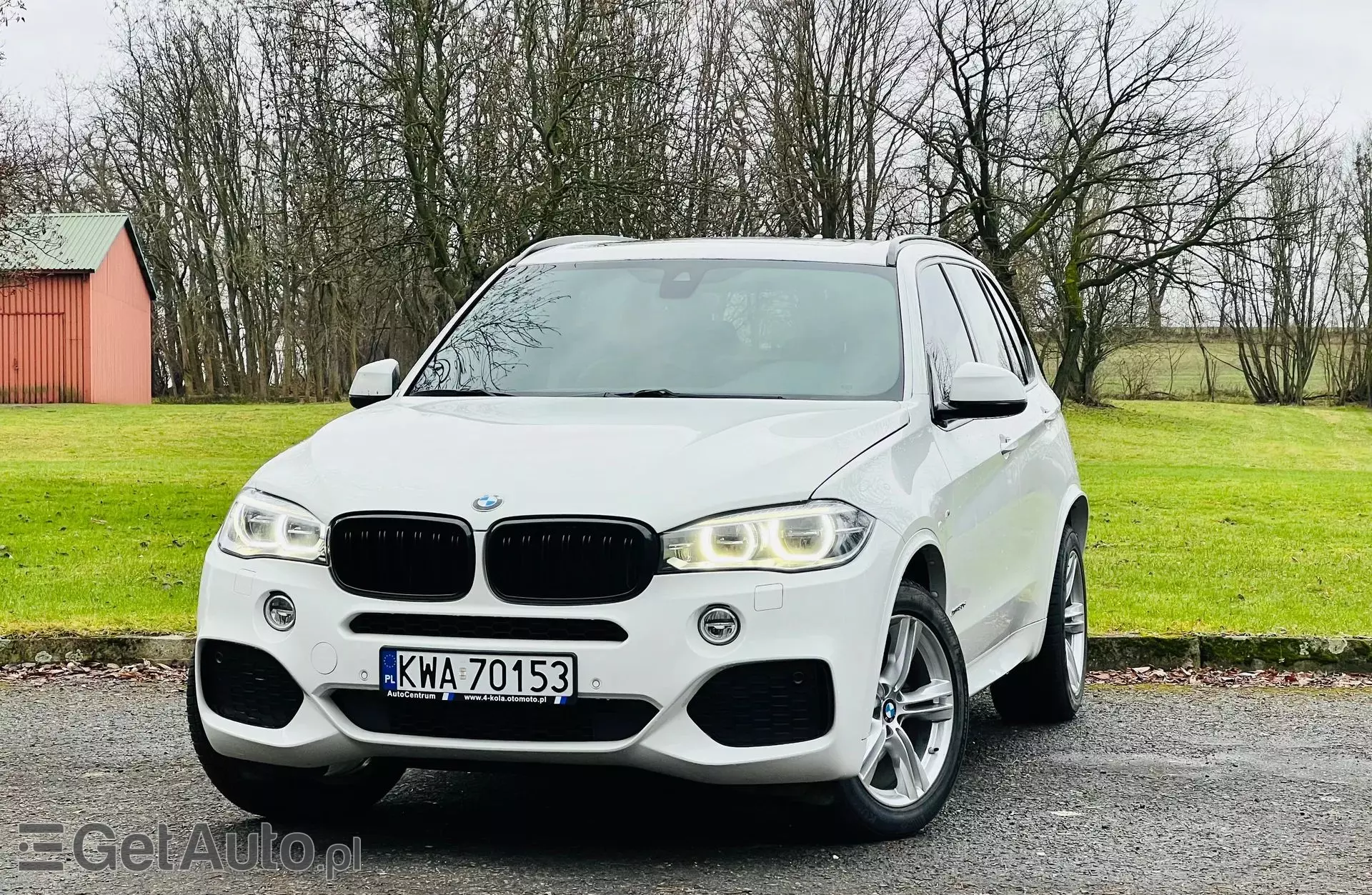 BMW X5 30d (258 KM) xDrive Steptronic