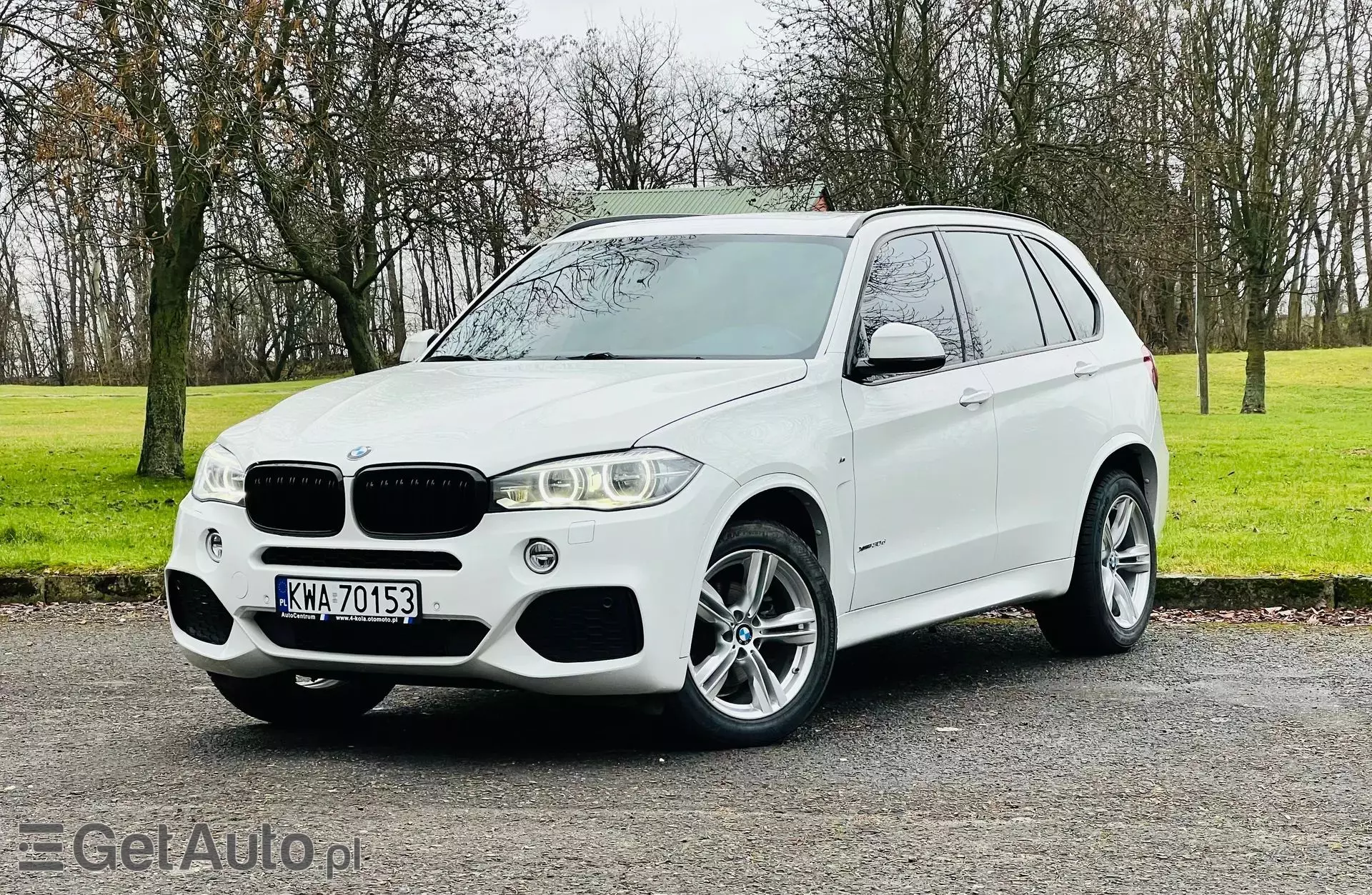 BMW X5 30d (258 KM) xDrive Steptronic