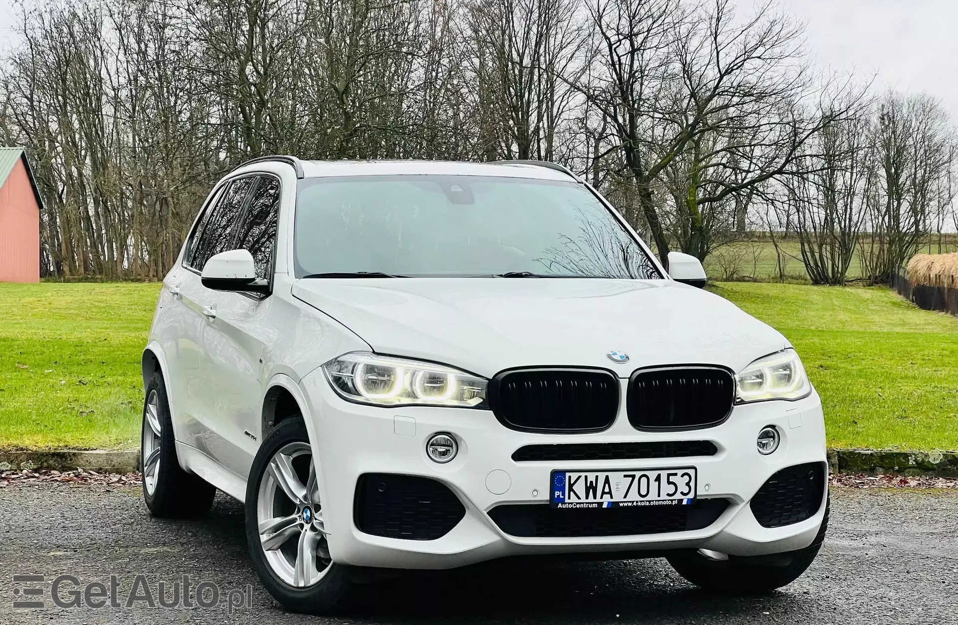 BMW X5 30d (258 KM) xDrive Steptronic