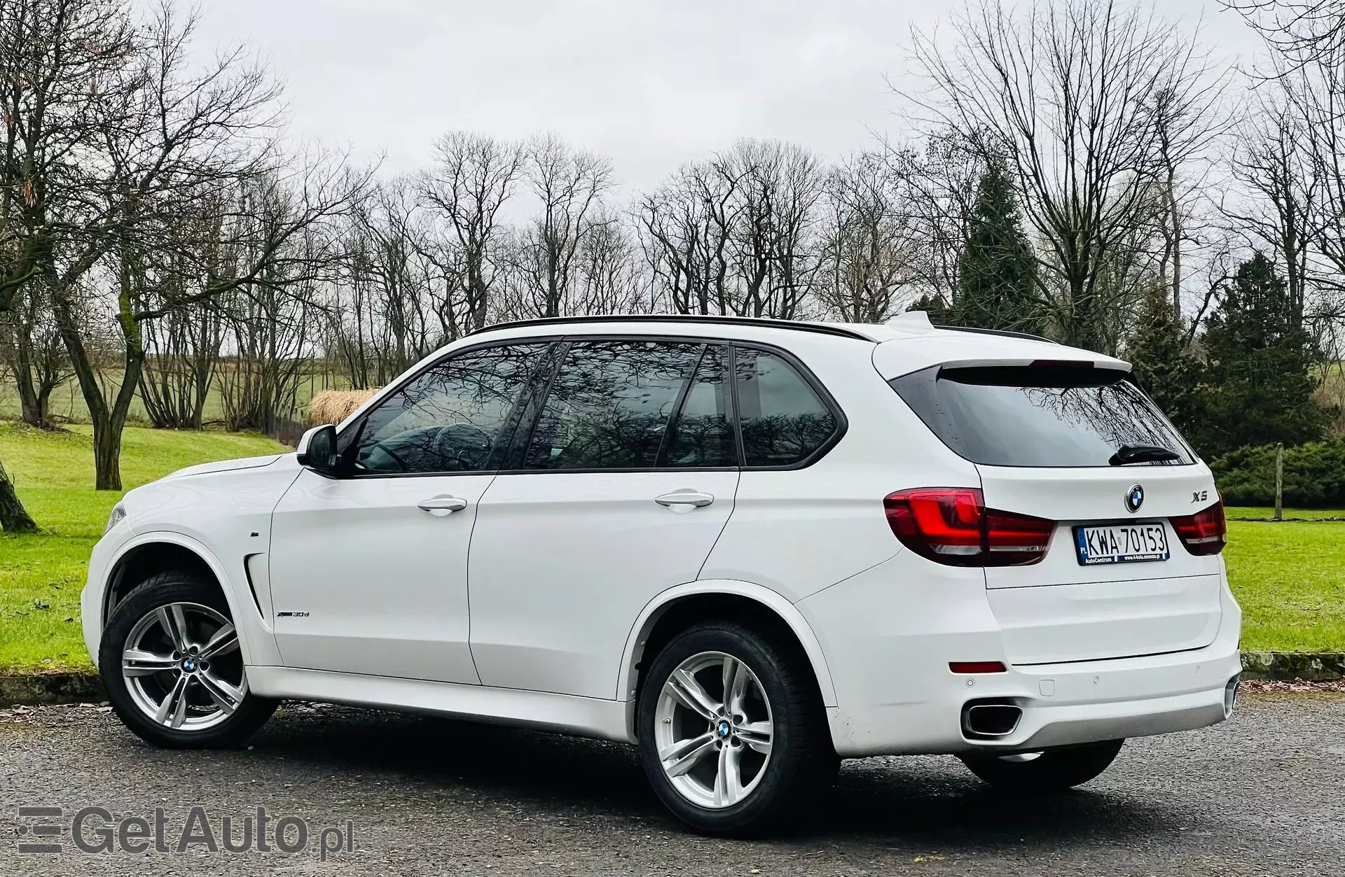 BMW X5 30d (258 KM) xDrive Steptronic