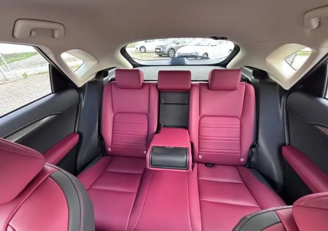 LEXUS NX 300h F Impression AWD