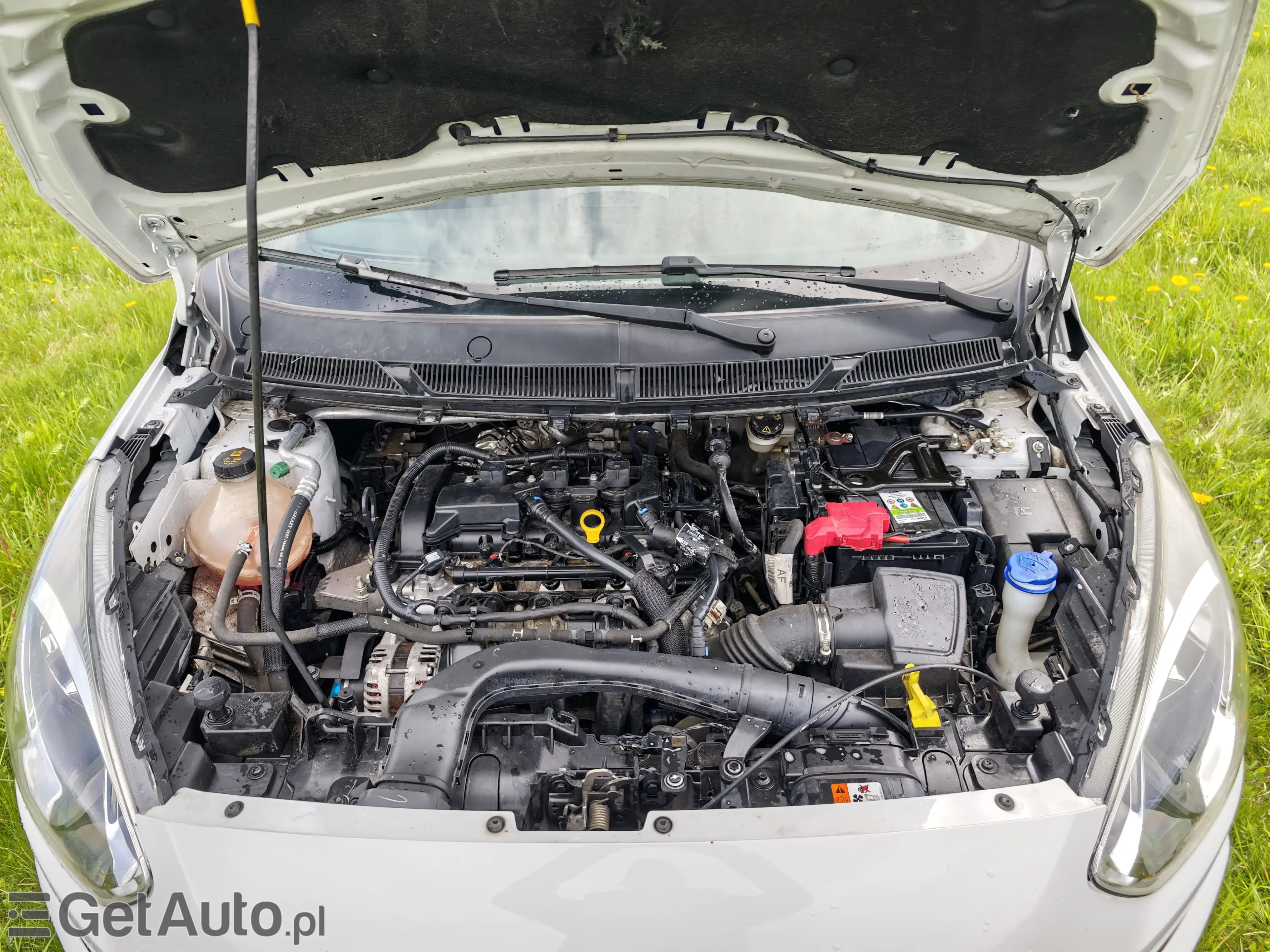 FORD Ka+ Active