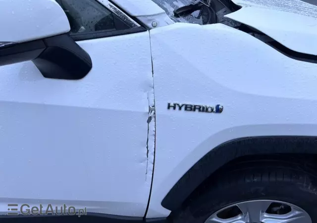 TOYOTA RAV4 2.5 4x2 Hybrid Edition