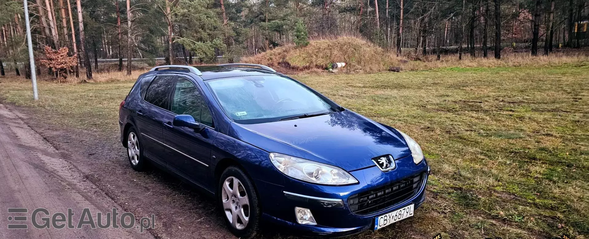 PEUGEOT 407 