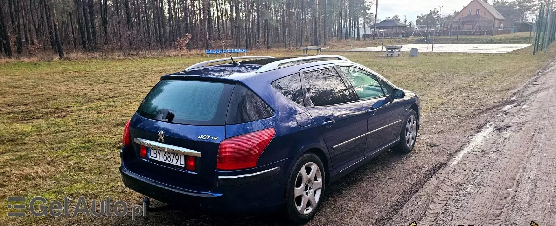 PEUGEOT 407 