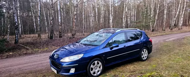 PEUGEOT 407 
