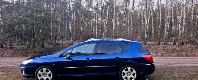 PEUGEOT 407 