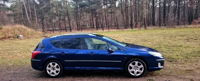 PEUGEOT 407 