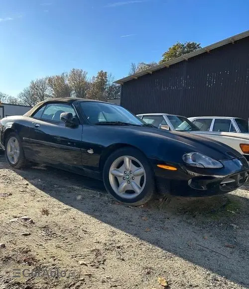 JAGUAR XK 