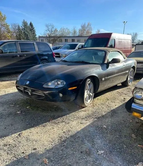 JAGUAR XK 