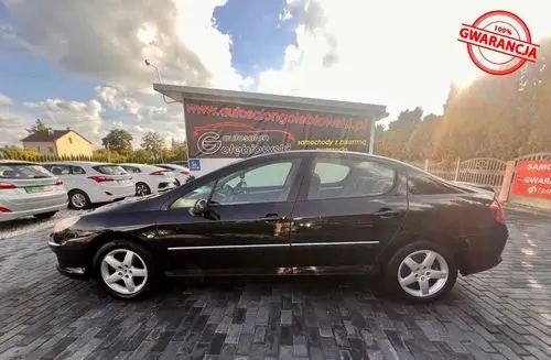 PEUGEOT 407 