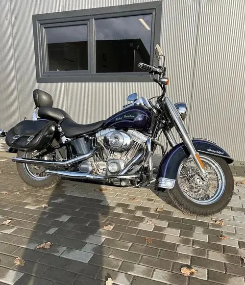 HARLEY-DAVIDSON Softail 