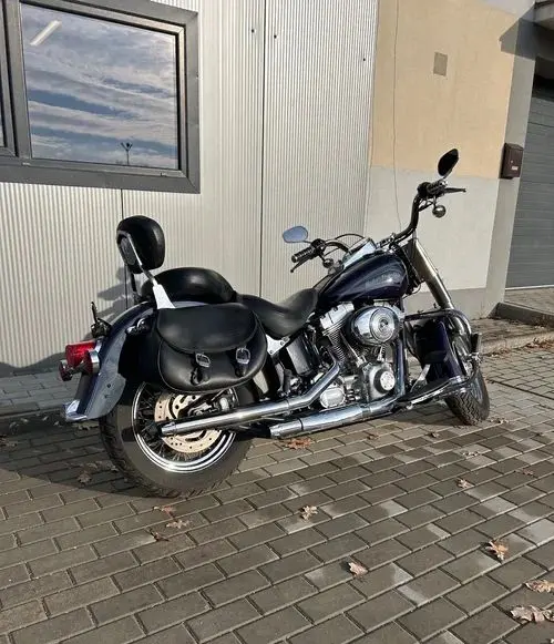 HARLEY-DAVIDSON Softail 