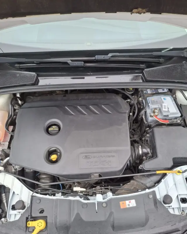 FORD Focus 1.6 TDCi Ambiente