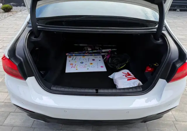 BMW Seria 5 520d M Sport sport