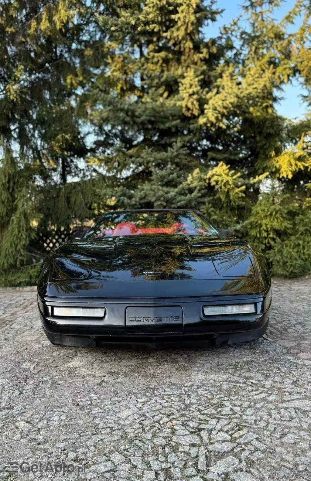 CHEVROLET Corvette 