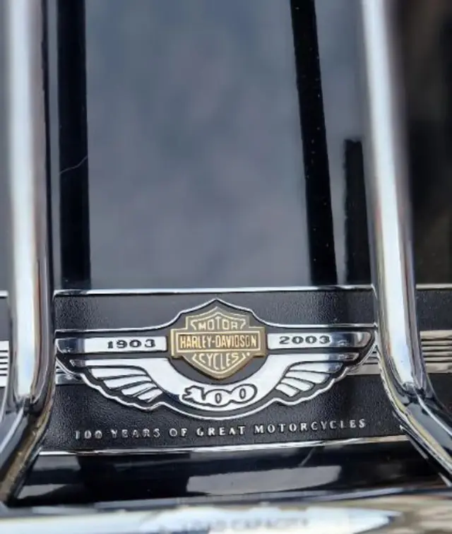 HARLEY-DAVIDSON Touring 