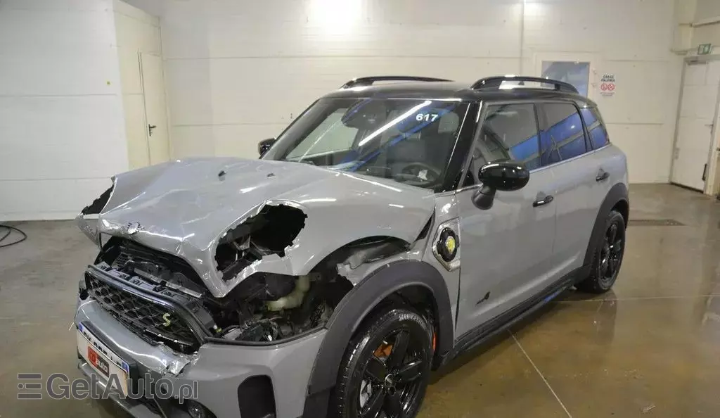 MINI  Mini Countryman 