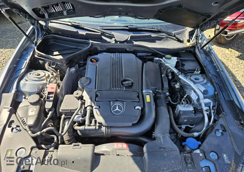 MERCEDES-BENZ SLK 250 BlueEFFICIENCY 7G-TRONIC Edition 1