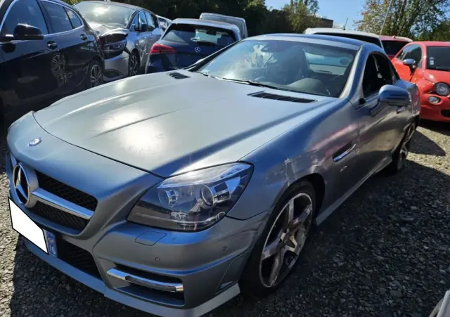 MERCEDES-BENZ SLK 250 BlueEFFICIENCY 7G-TRONIC Edition 1