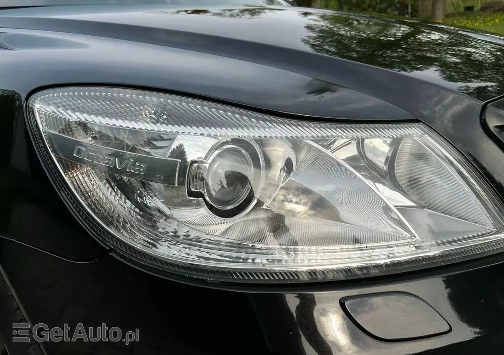 SKODA Octavia 1.6 TDI Ambition DSG