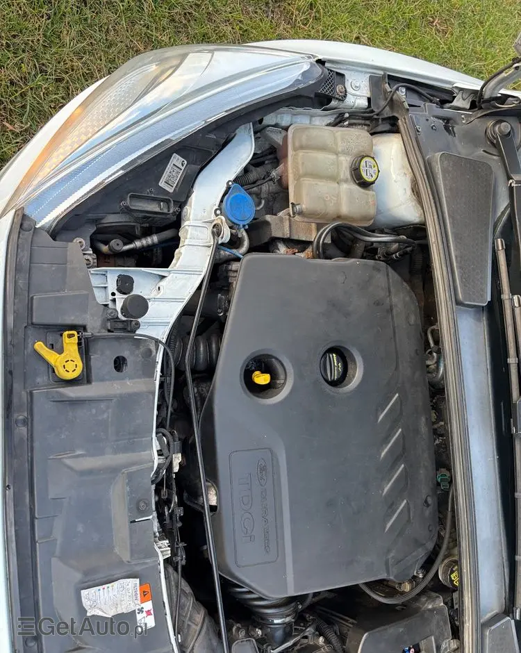 FORD Focus 1.6 TDCi Ambiente