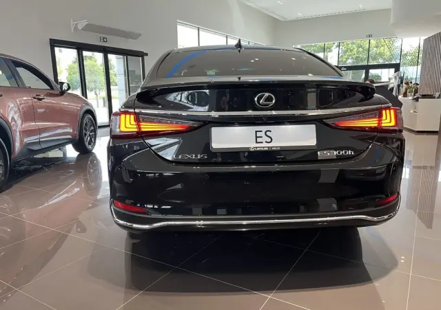 LEXUS ES 300h Business Edition