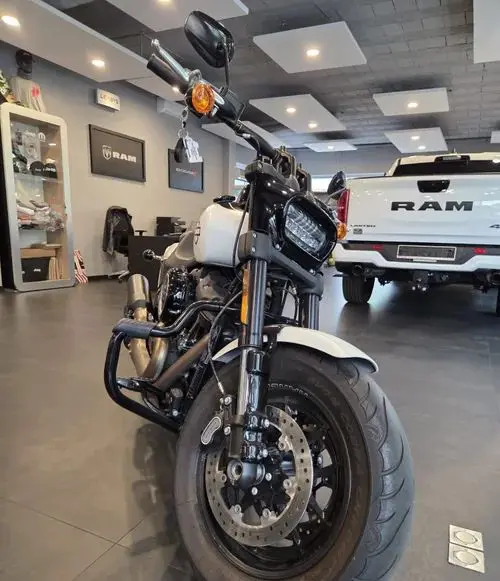 HARLEY-DAVIDSON Dyna Fat Bob 