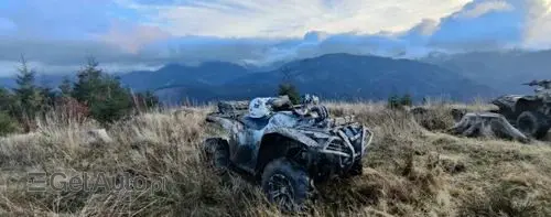 YAMAHA Grizzly 700 EPS 