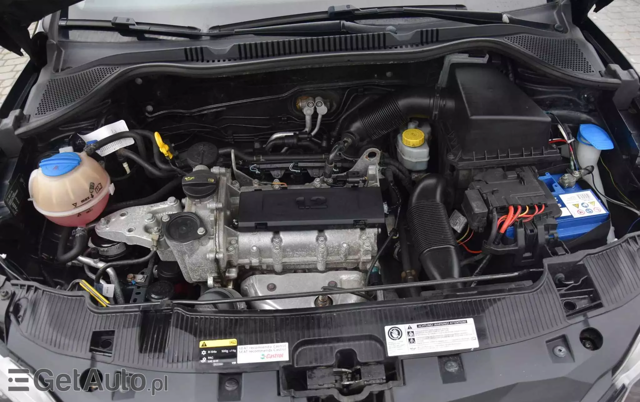 SEAT Ibiza 1.2 12V Reference