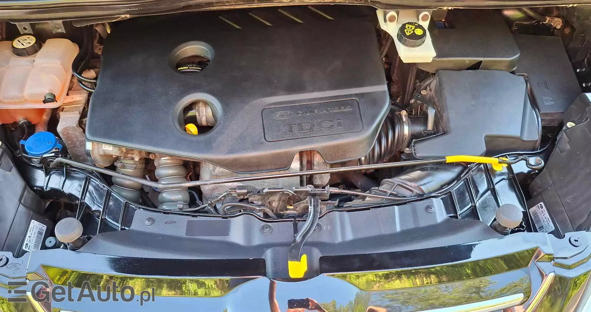 FORD Grand C-MAX 1.6 TDCi Start-Stop-System Business Edition