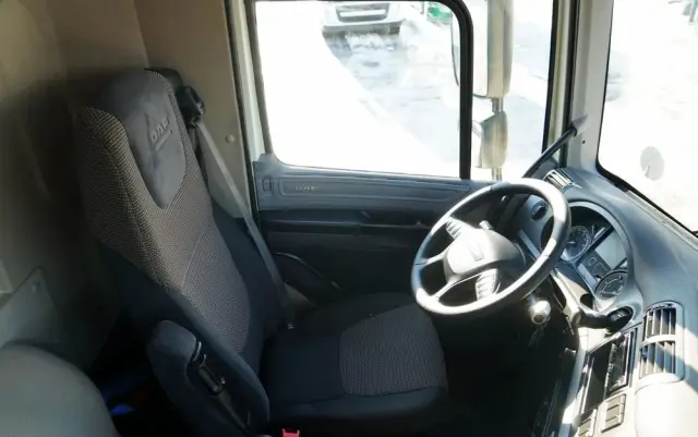 DAF CF 440 / 8x4 / BETONOMIESZARKA SCHWING STETTER / GRUSZKA 9 M3 / AUTOMAT / KAMERA / 