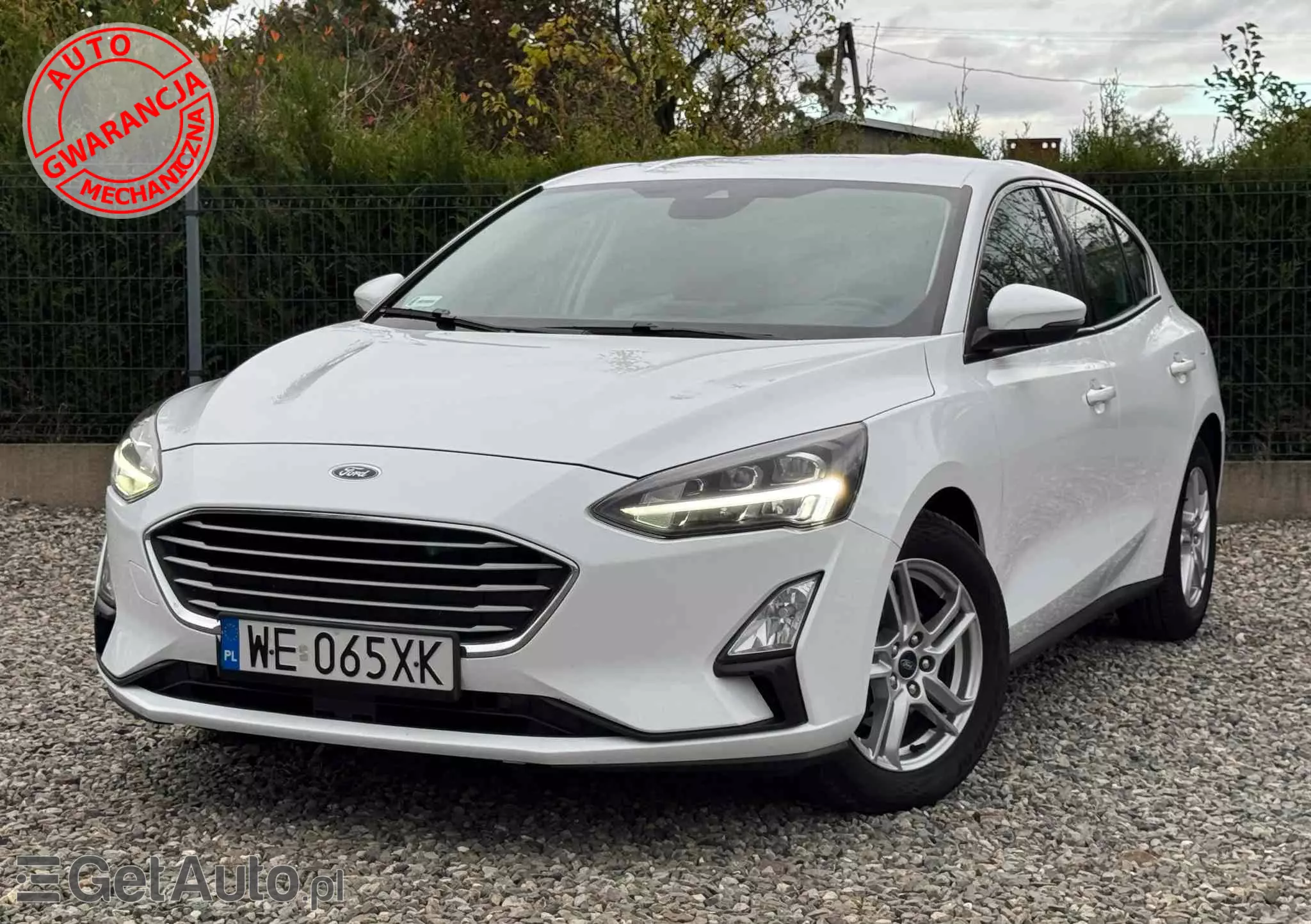 FORD Focus 1.5 EcoBlue Trend Edition Business