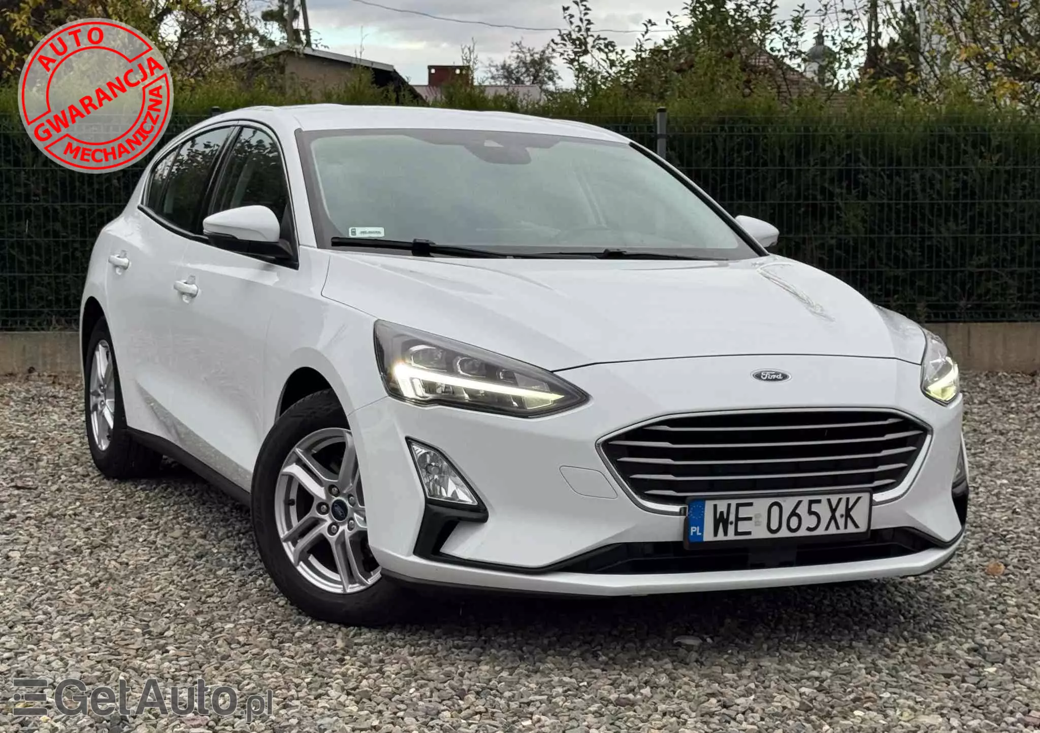 FORD Focus 1.5 EcoBlue Trend Edition Business