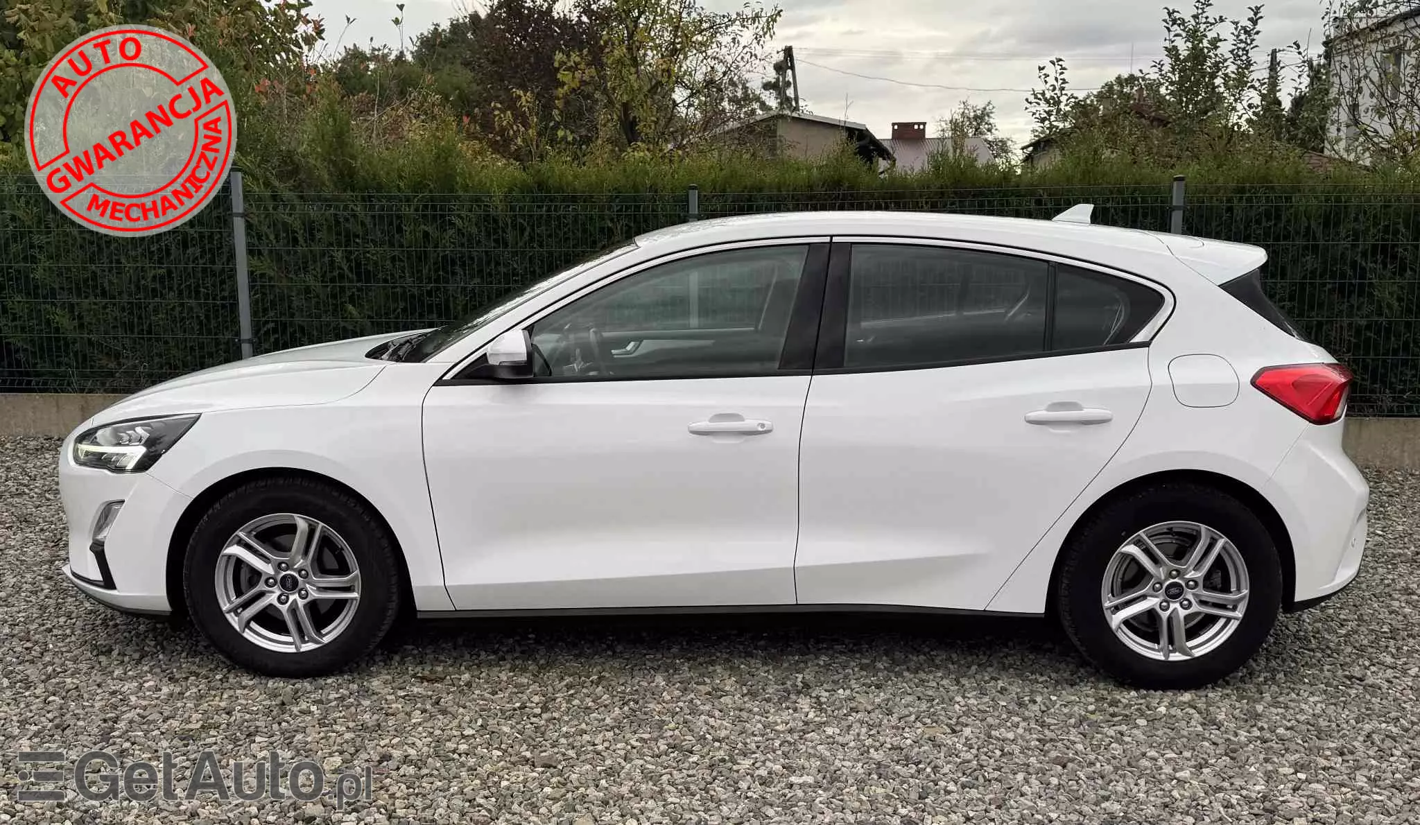FORD Focus 1.5 EcoBlue Trend Edition Business