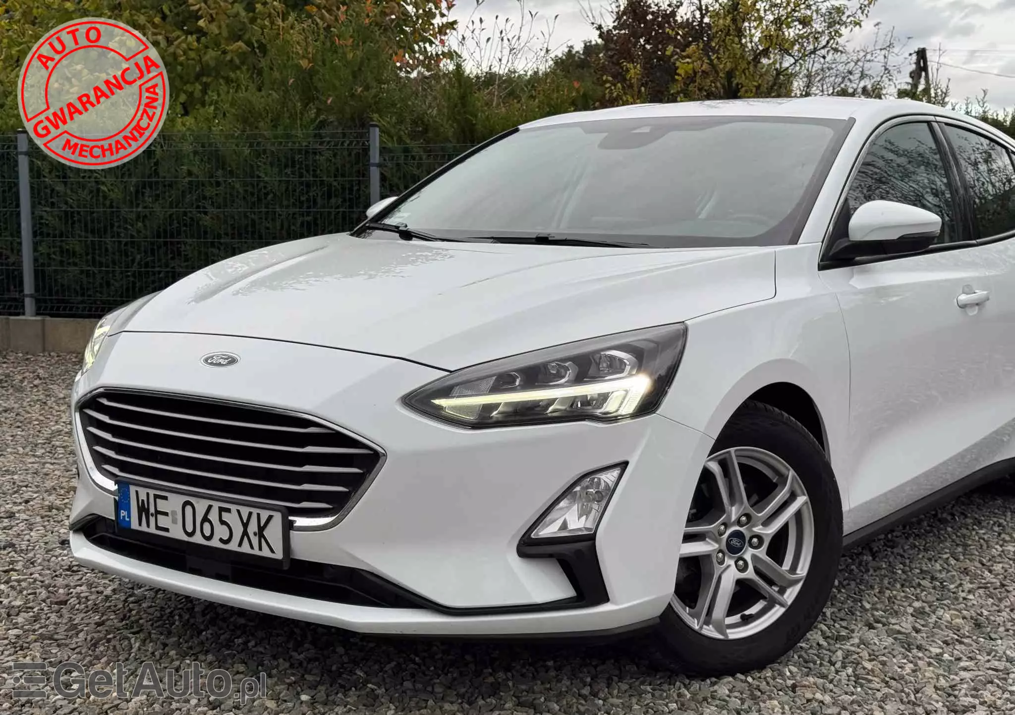 FORD Focus 1.5 EcoBlue Trend Edition Business