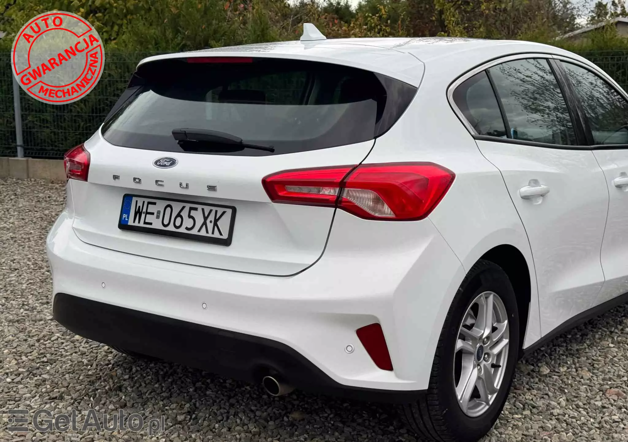 FORD Focus 1.5 EcoBlue Trend Edition Business