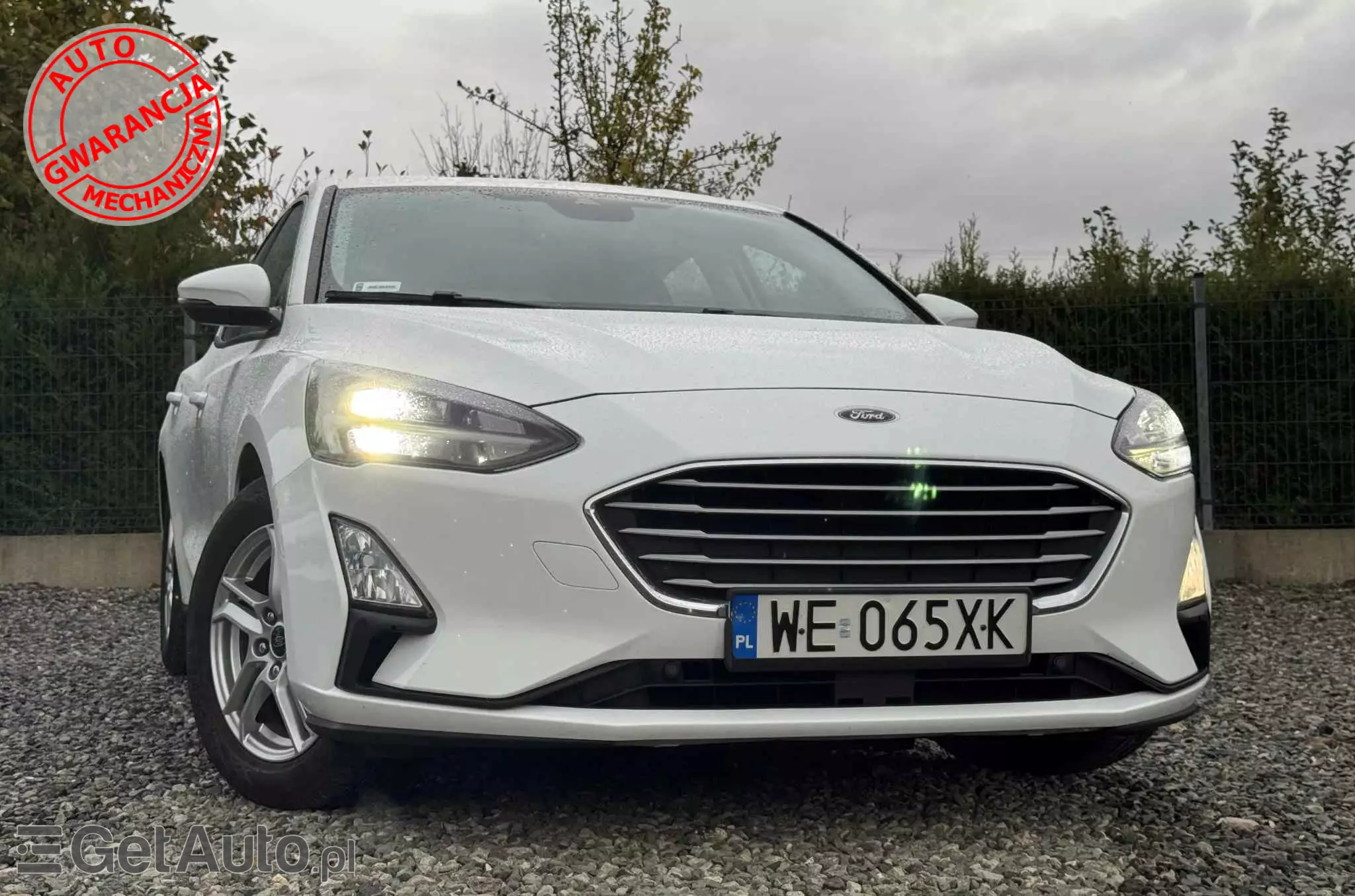 FORD Focus 1.5 EcoBlue Trend Edition Business