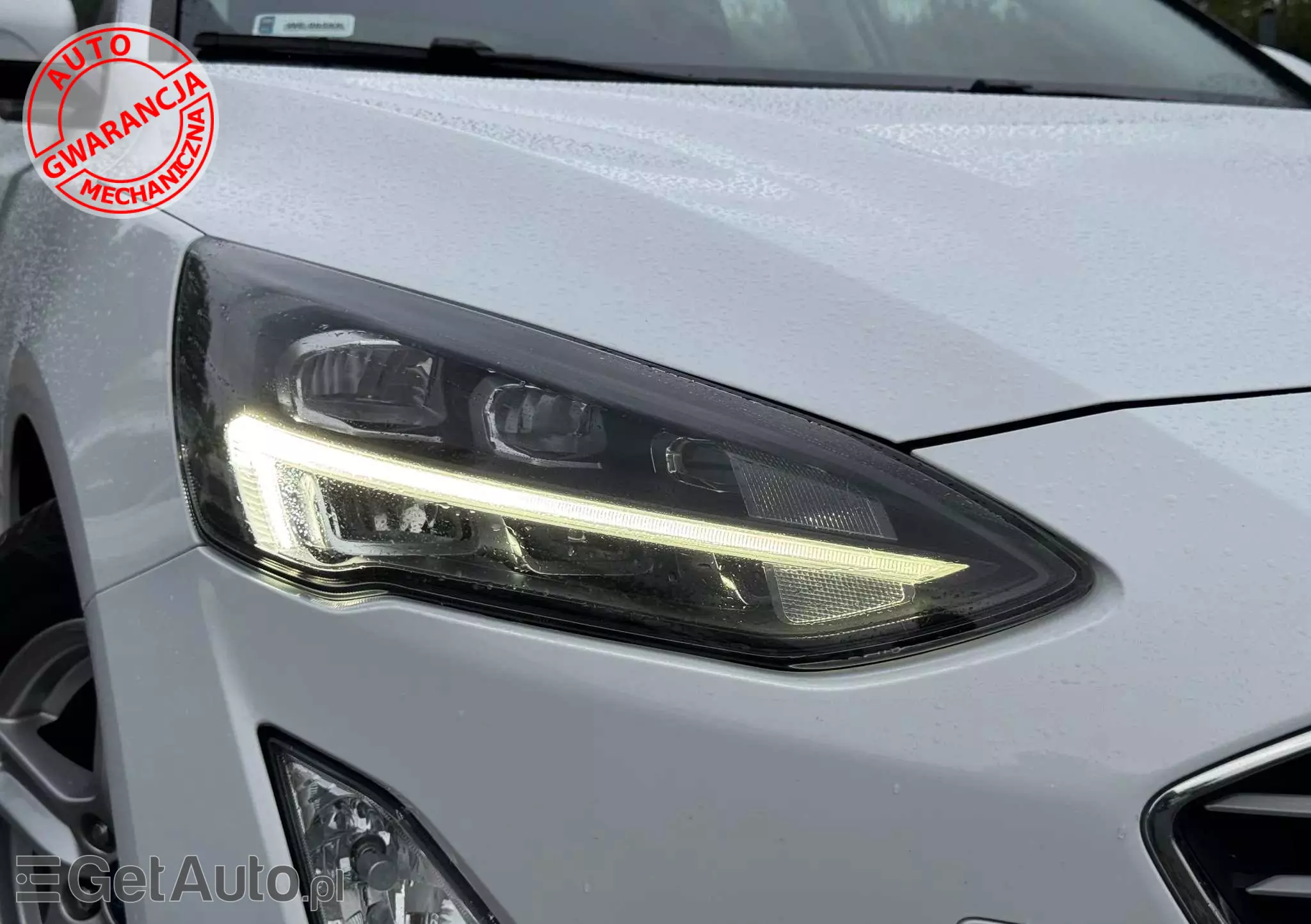 FORD Focus 1.5 EcoBlue Trend Edition Business