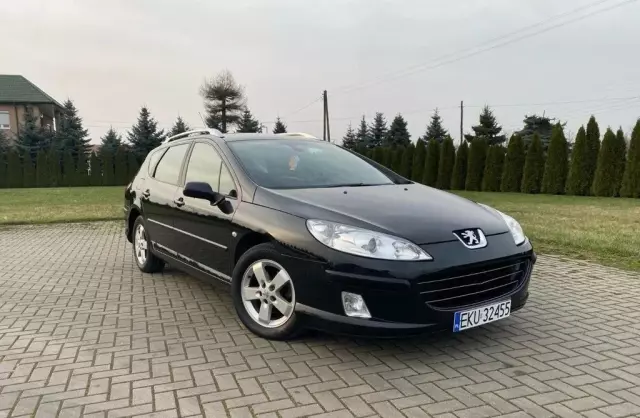 PEUGEOT 407 