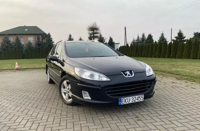 PEUGEOT 407 