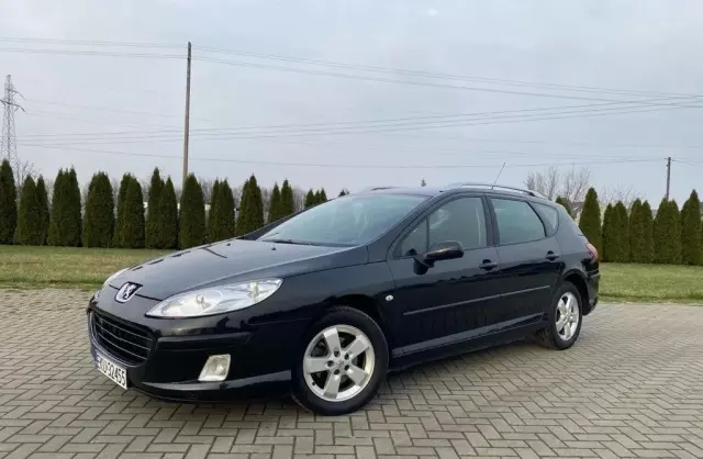 PEUGEOT 407 