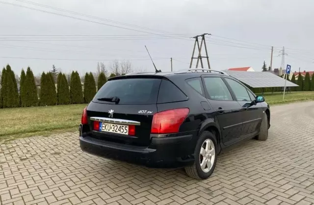 PEUGEOT 407 