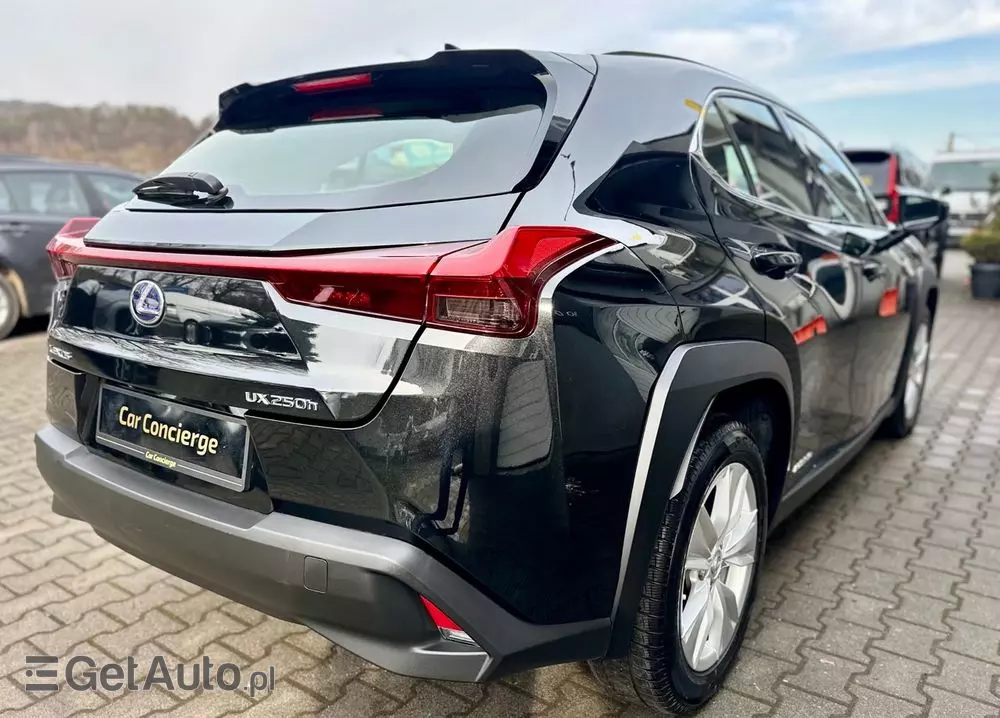 LEXUS UX 250h Business Edition