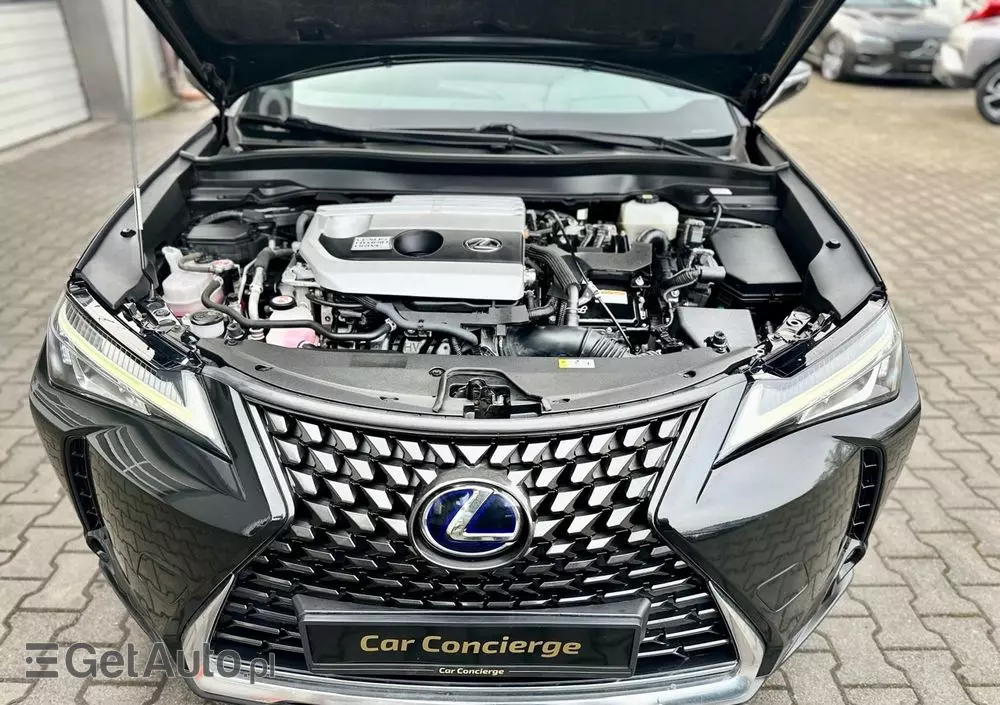 LEXUS UX 250h Business Edition