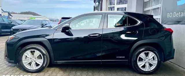 LEXUS UX 250h Business Edition